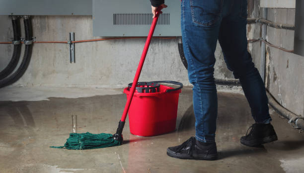Best Flood restoration services  in Milton, NY
