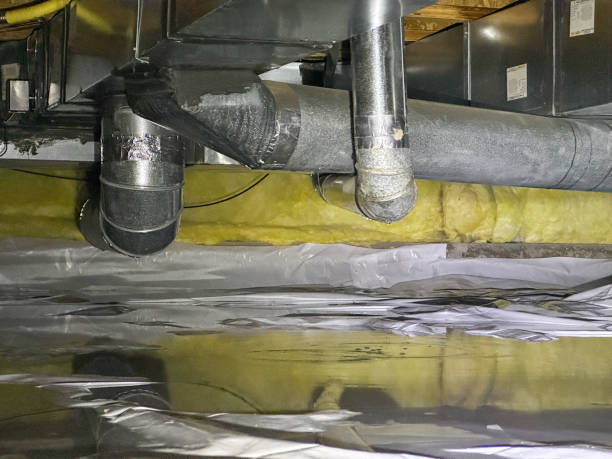 Best Basement water damage restoration  in Milton, NY